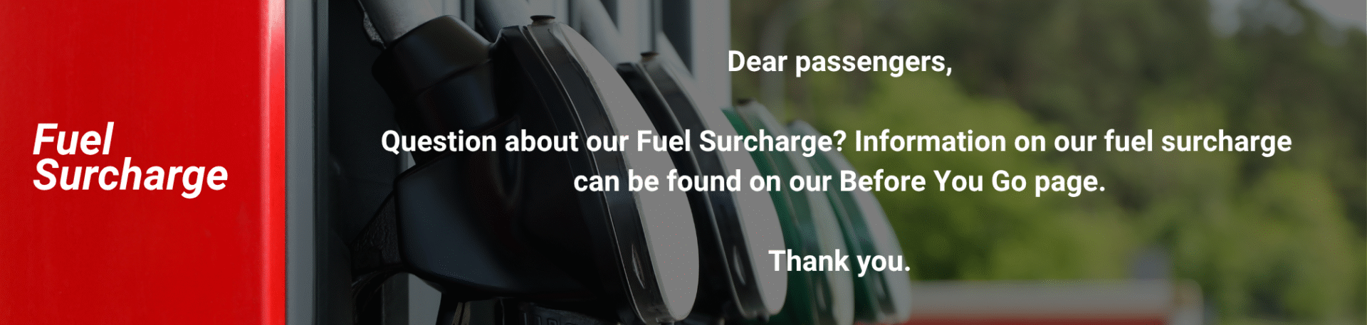 Website Passenger Notifications (40)