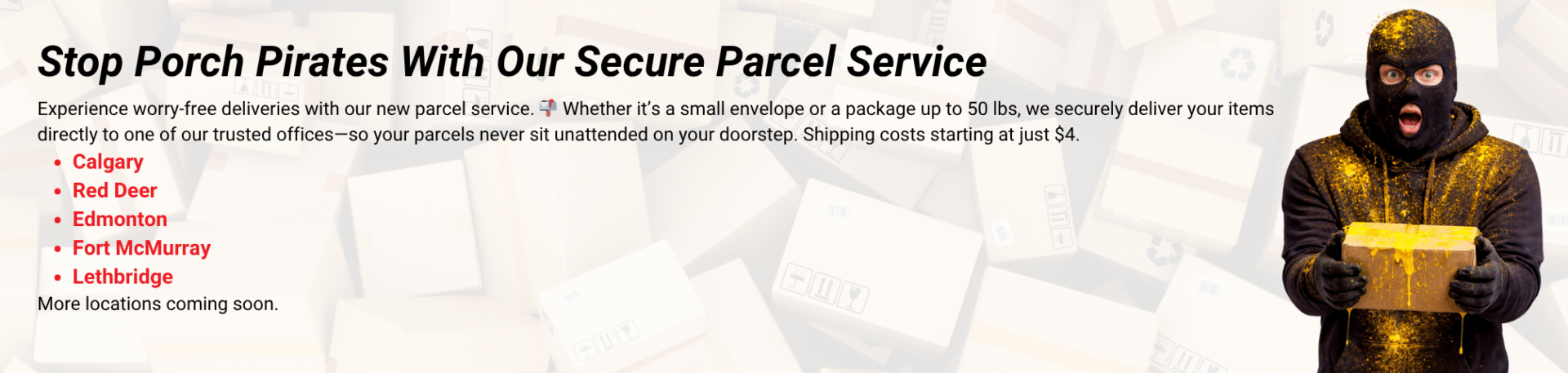 Website Passenger Notifications (46)